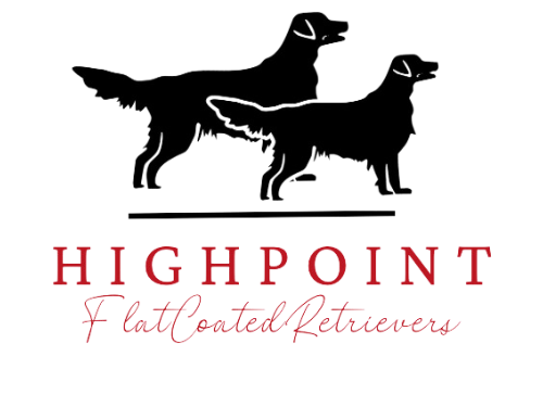 The logo for highpoint flat coated retrievers shows two dogs standing next to each other.