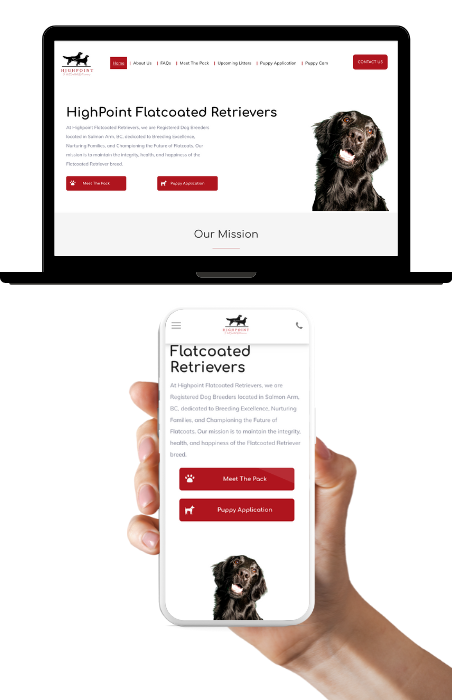 A person is holding a cell phone in front of a laptop showcasing a Website Design for Highpoint Flatcoated Retrievers