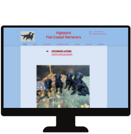 A computer monitor displays a website for highpoint flat coated retrievers