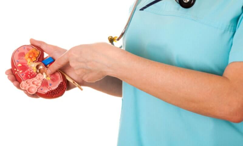 Dra. Guadalupe Sandoval Guerrero