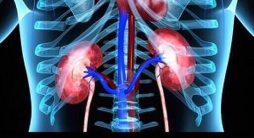 Dra. Guadalupe Sandoval Guerrero