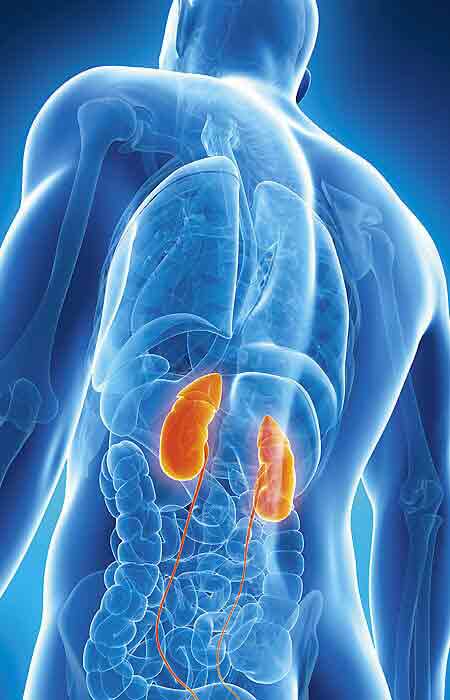 Dra. Guadalupe Sandoval Guerrero