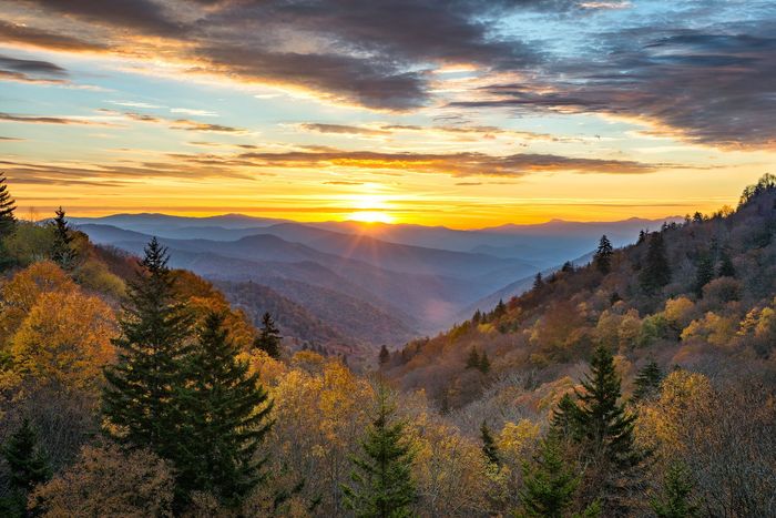 Golden sunrise over layered, hazy blue mountains and a lush, autumn-colored forest.