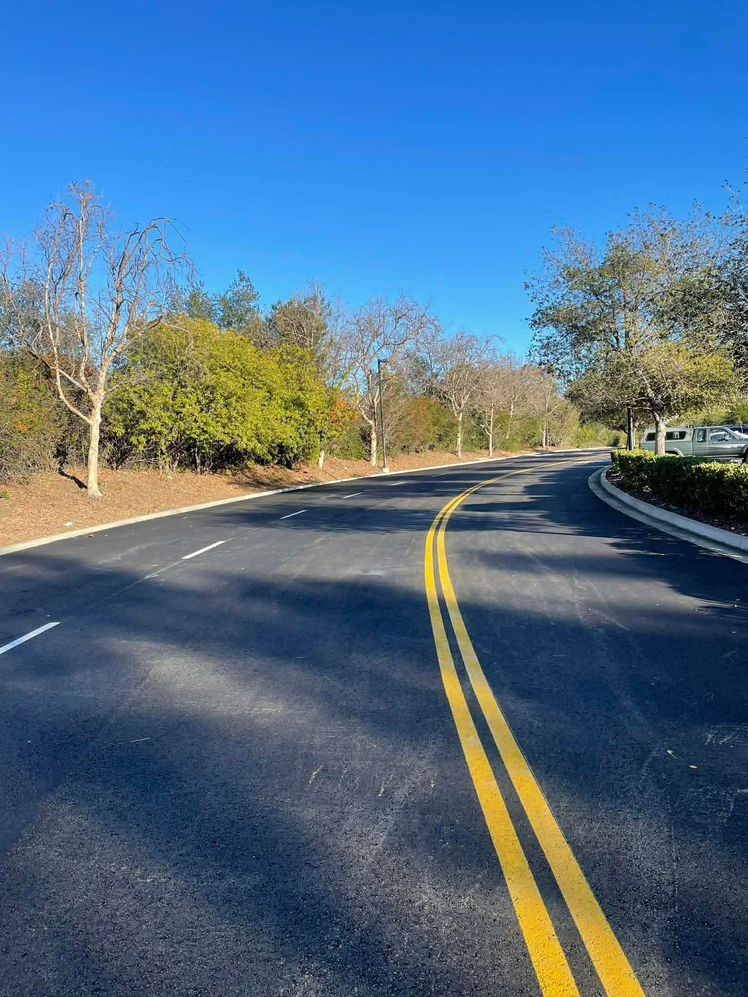 A paved road curves right under a clear blue sky, featuring double yellow center lines and lined by trees.