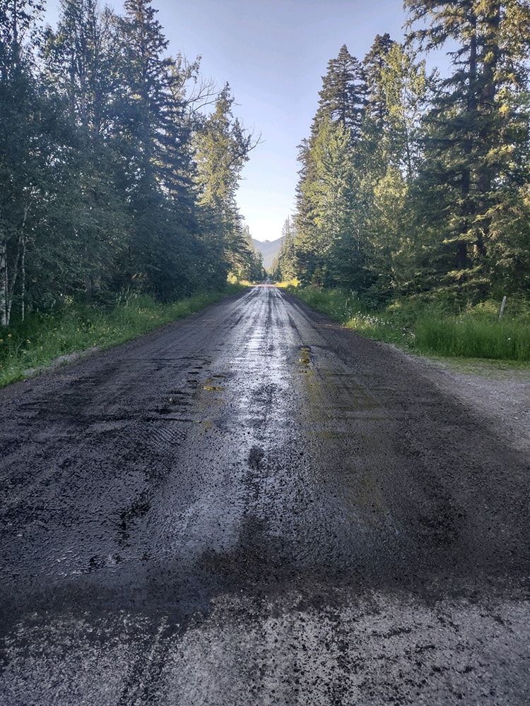 A dirt road stretches through a forest, transitioning from gravel to muddy, uneven terrain under a bright, clear sky.