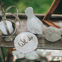 Movement Mastery Training