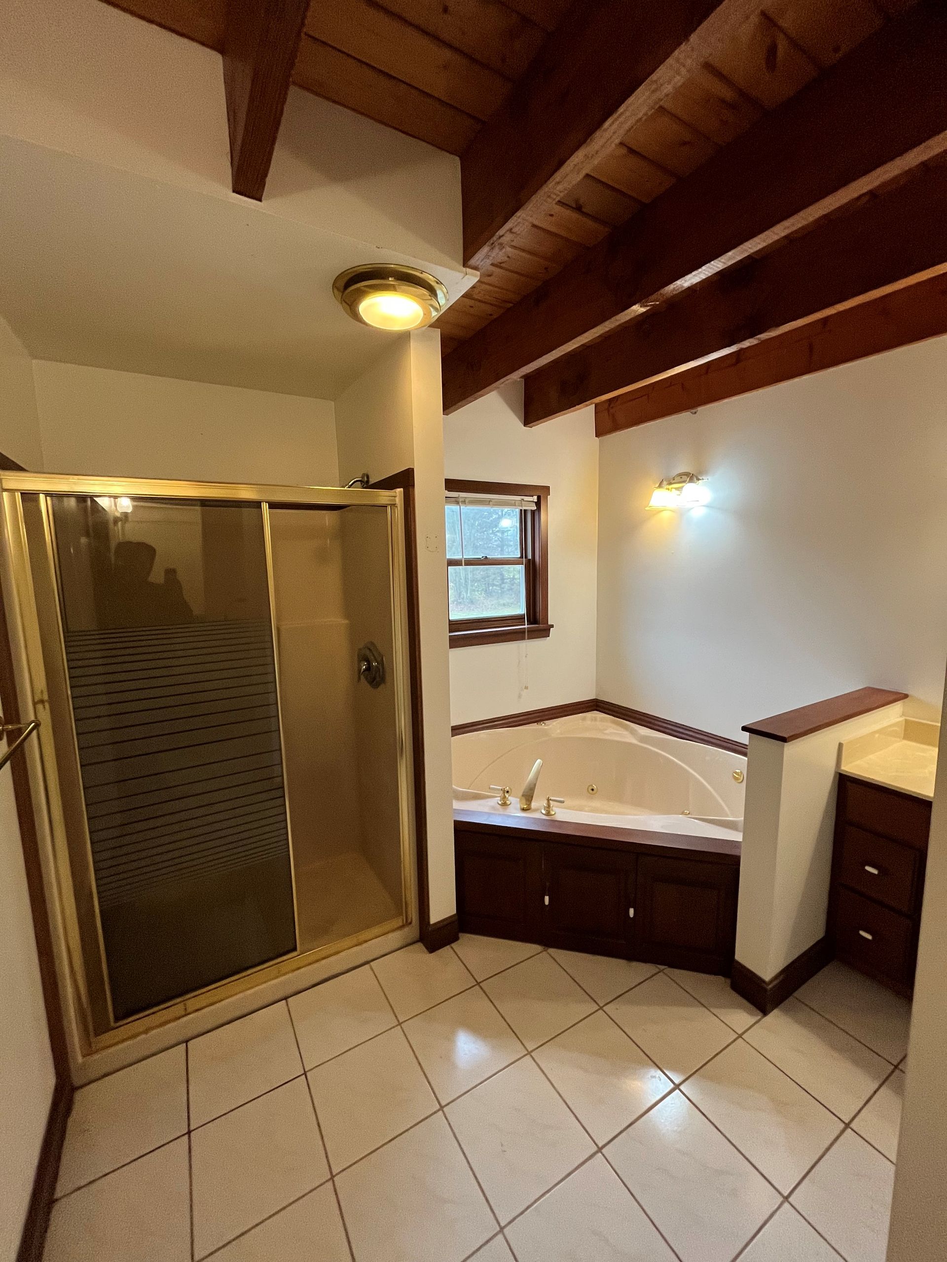 a bathroom with a jacuzzi tub and a walk in shower