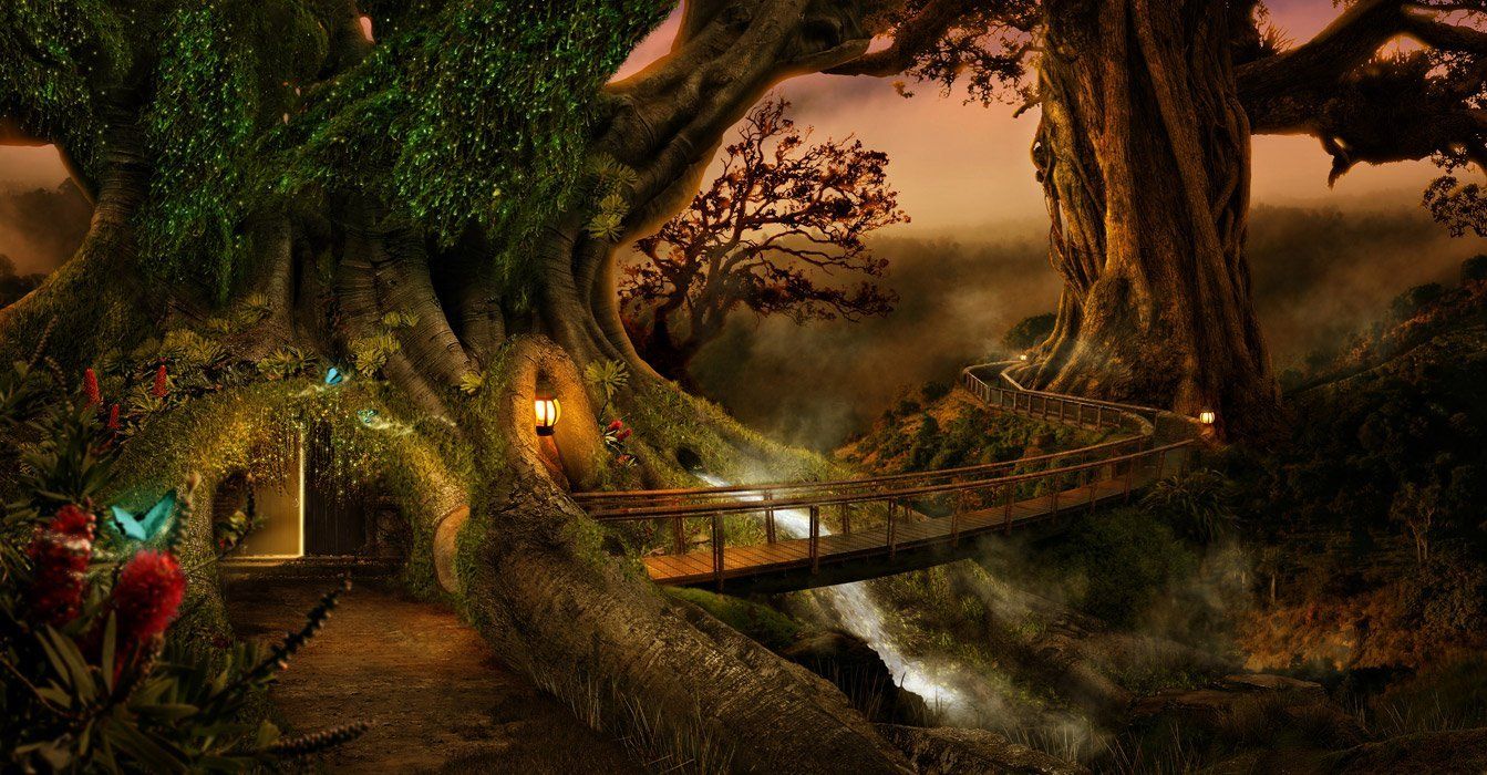 TREES - TRAUMBAUMPFAD