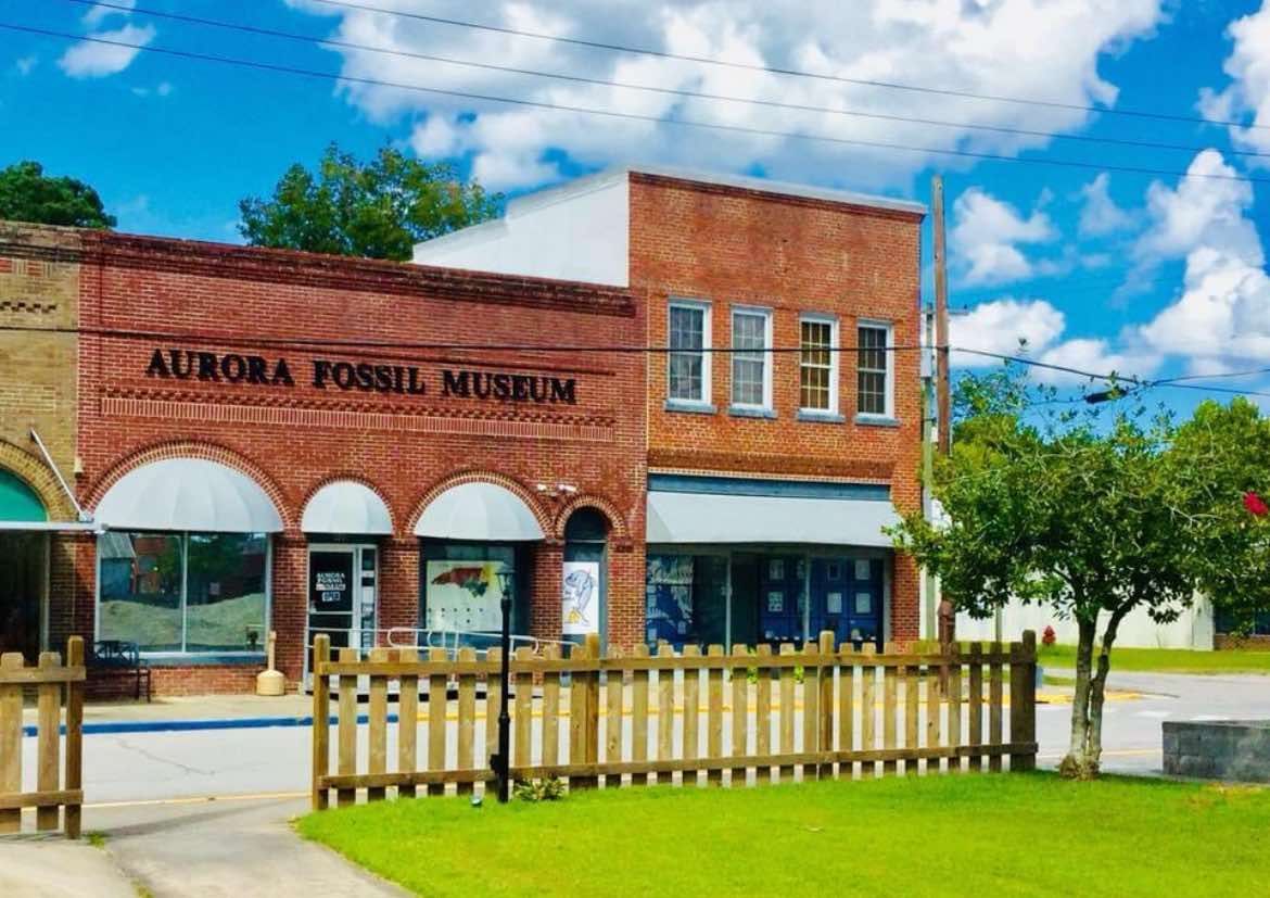 Aurora Fossil Museum NC | Historic Albemarle Highway