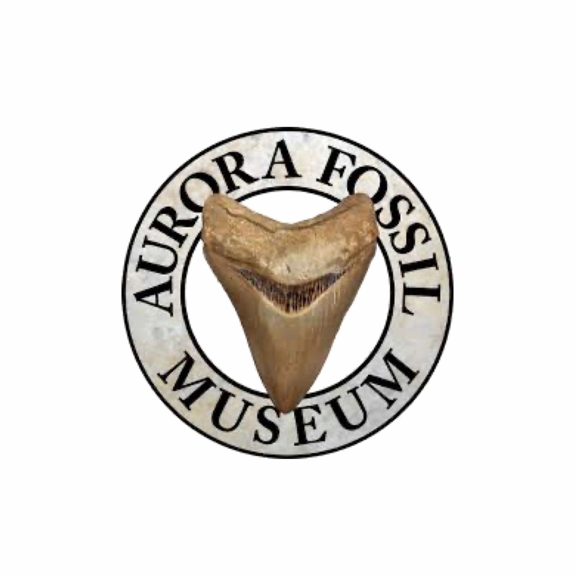 Aurora Fossil Museum | Historic Albemarle Highway