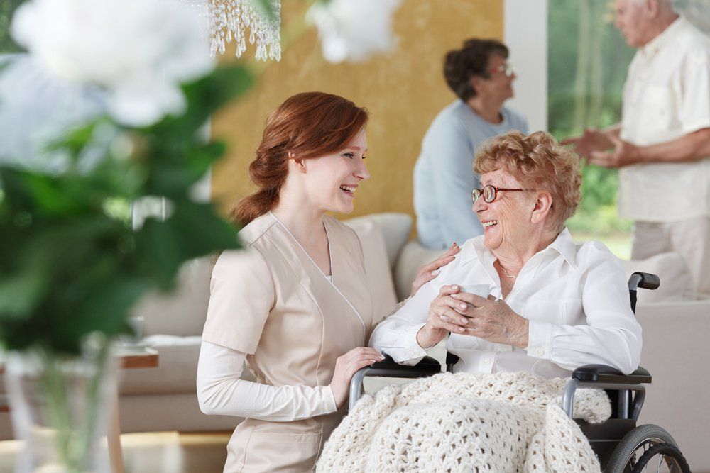 the-top-senior-sitter-questions-answered