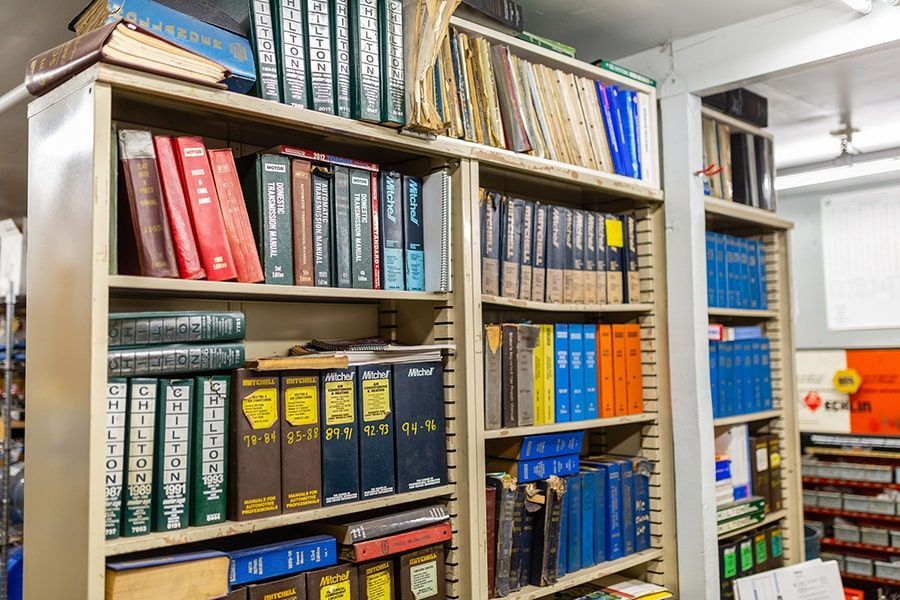 Woman Feeds Dog | Crabtree Automotive