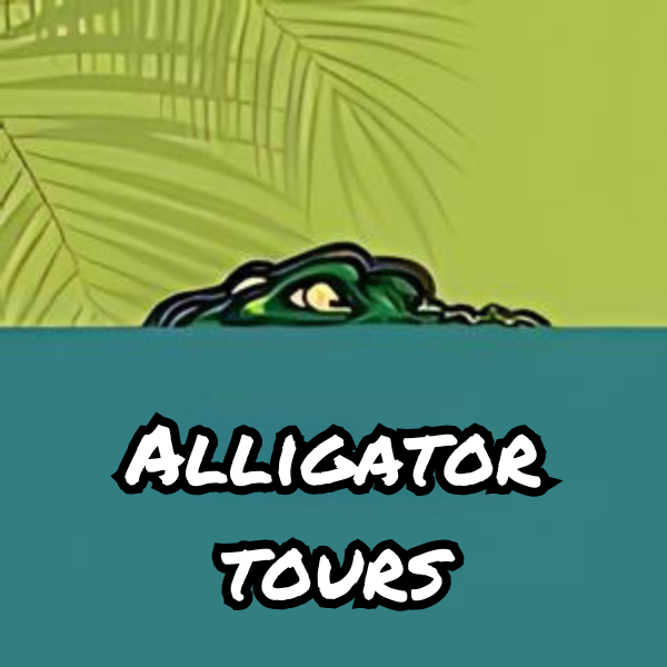 Alligator tours