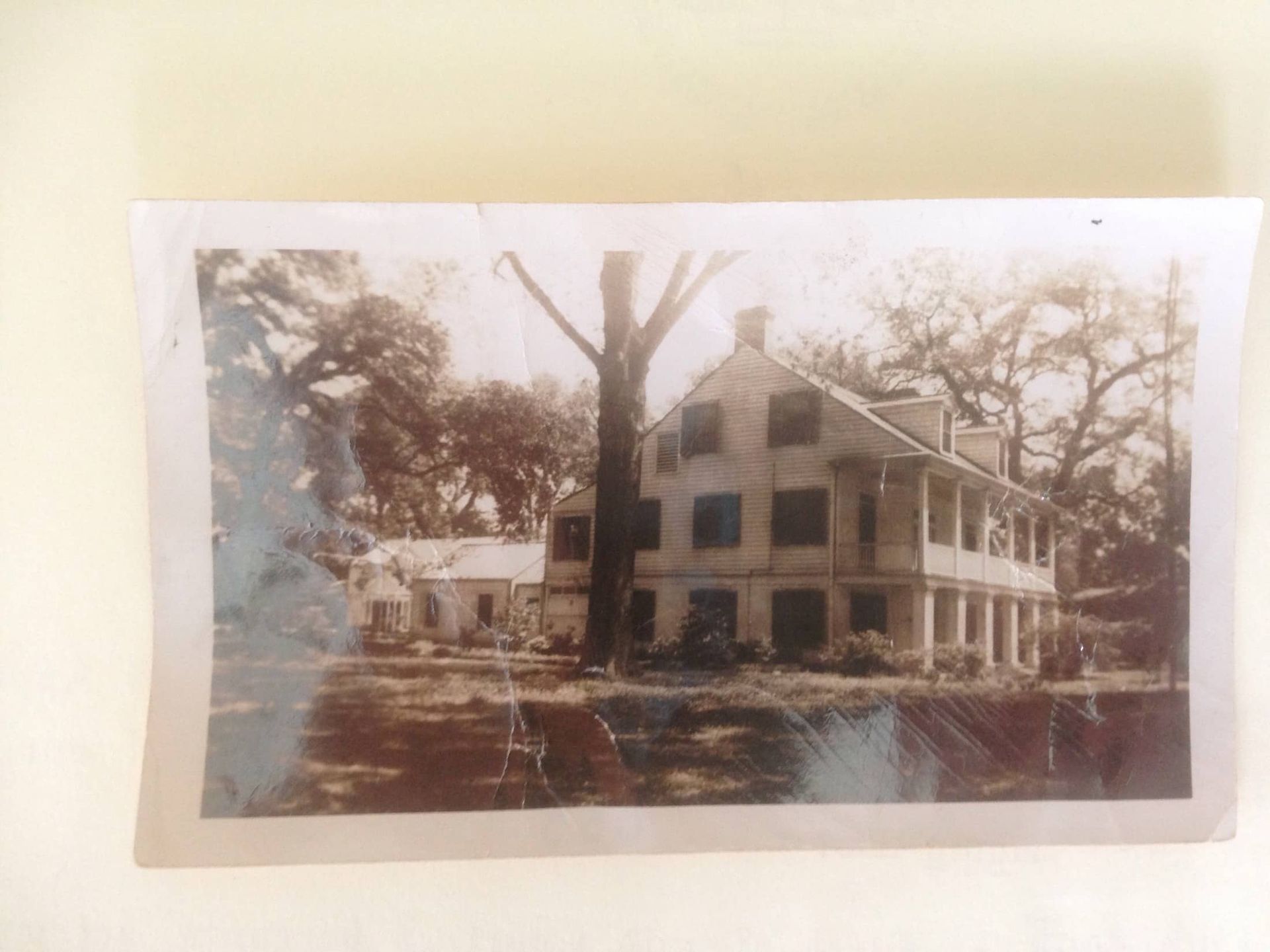 A black and white photo of a house with a tree in front of it