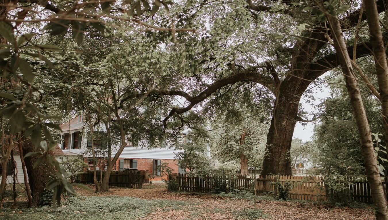 A house is surrounded by trees and a fence in the middle of a forest.