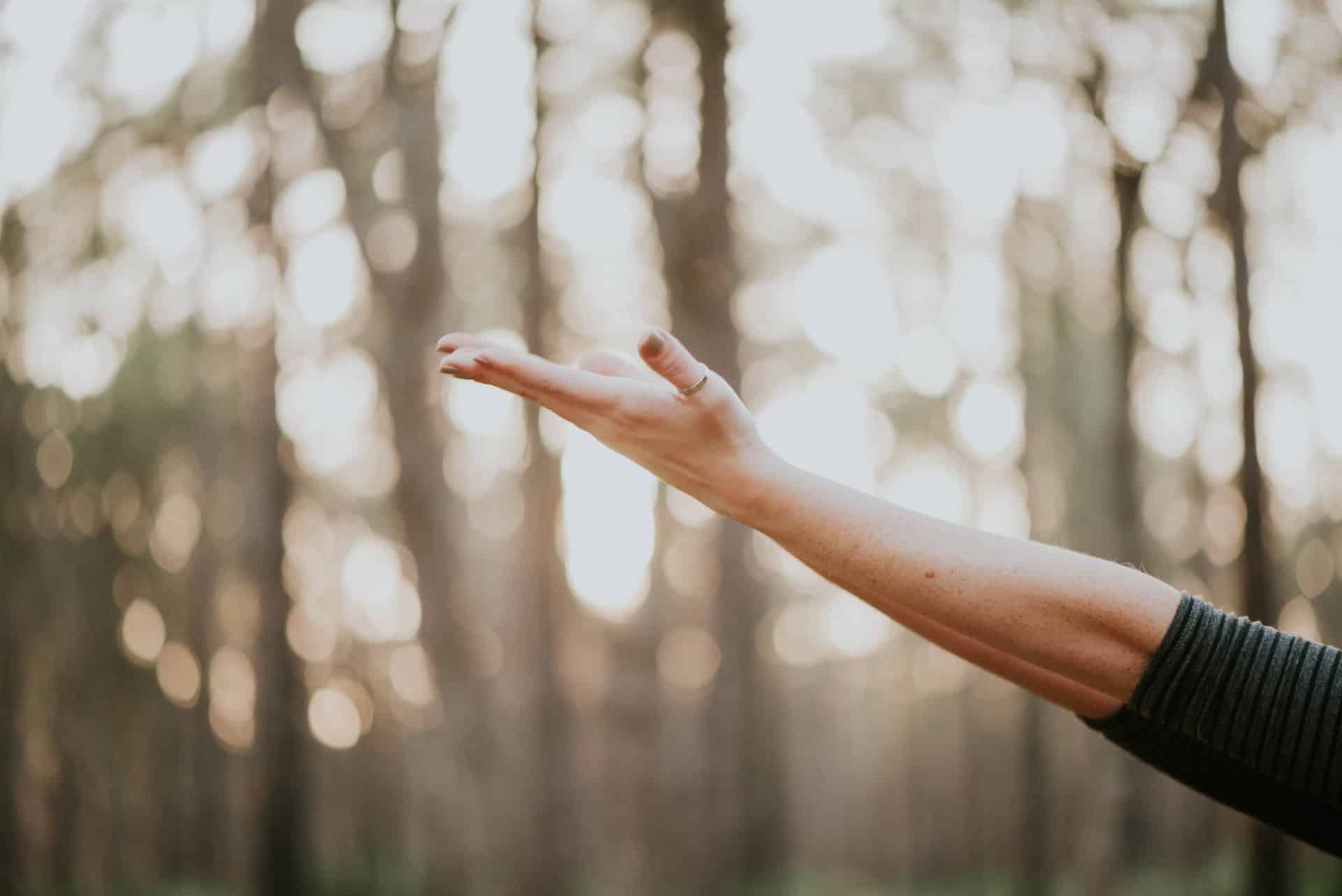 A woman is reaching out her hand in a forest.