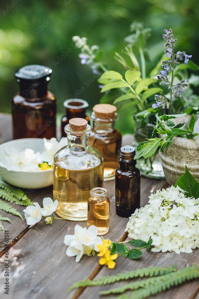 viele verschiedene Arten von Pflanzen und Ölen auf einem Tisch