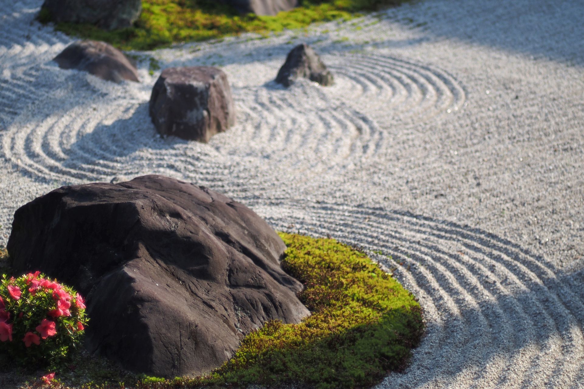 zen meditation garden, moss, flowers, large rocks, sand