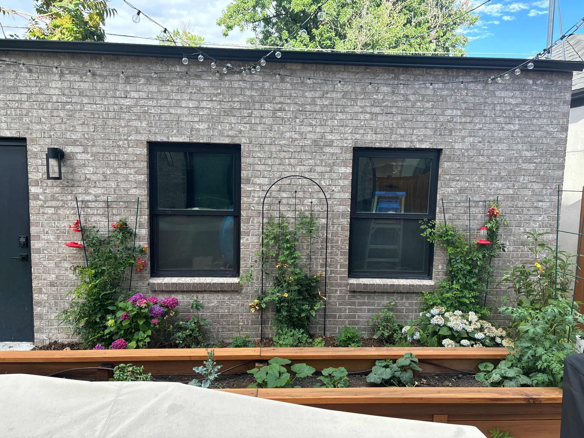 Knightscapes project flowering plants on trellis