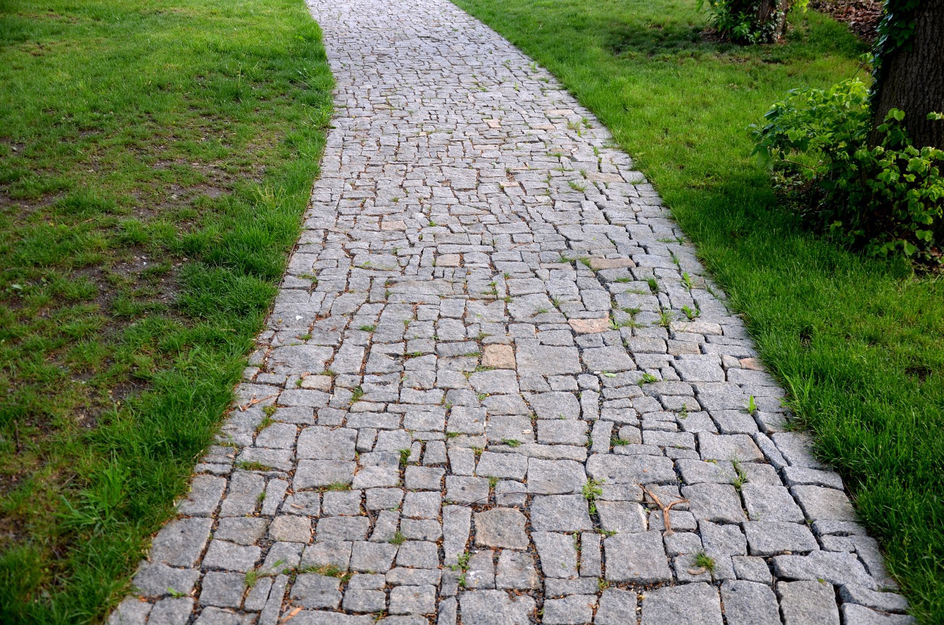 Cobblestone pathway