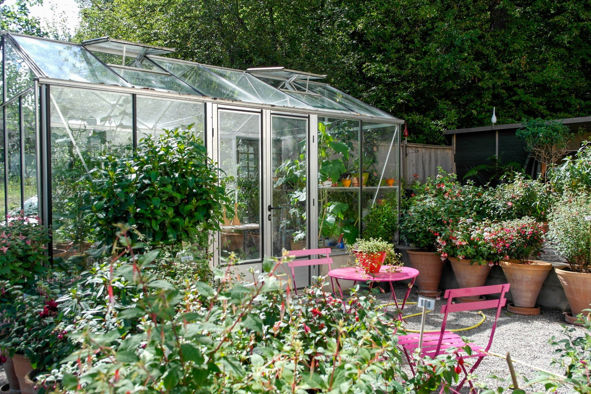 Green house with vents, garden with pink chairs