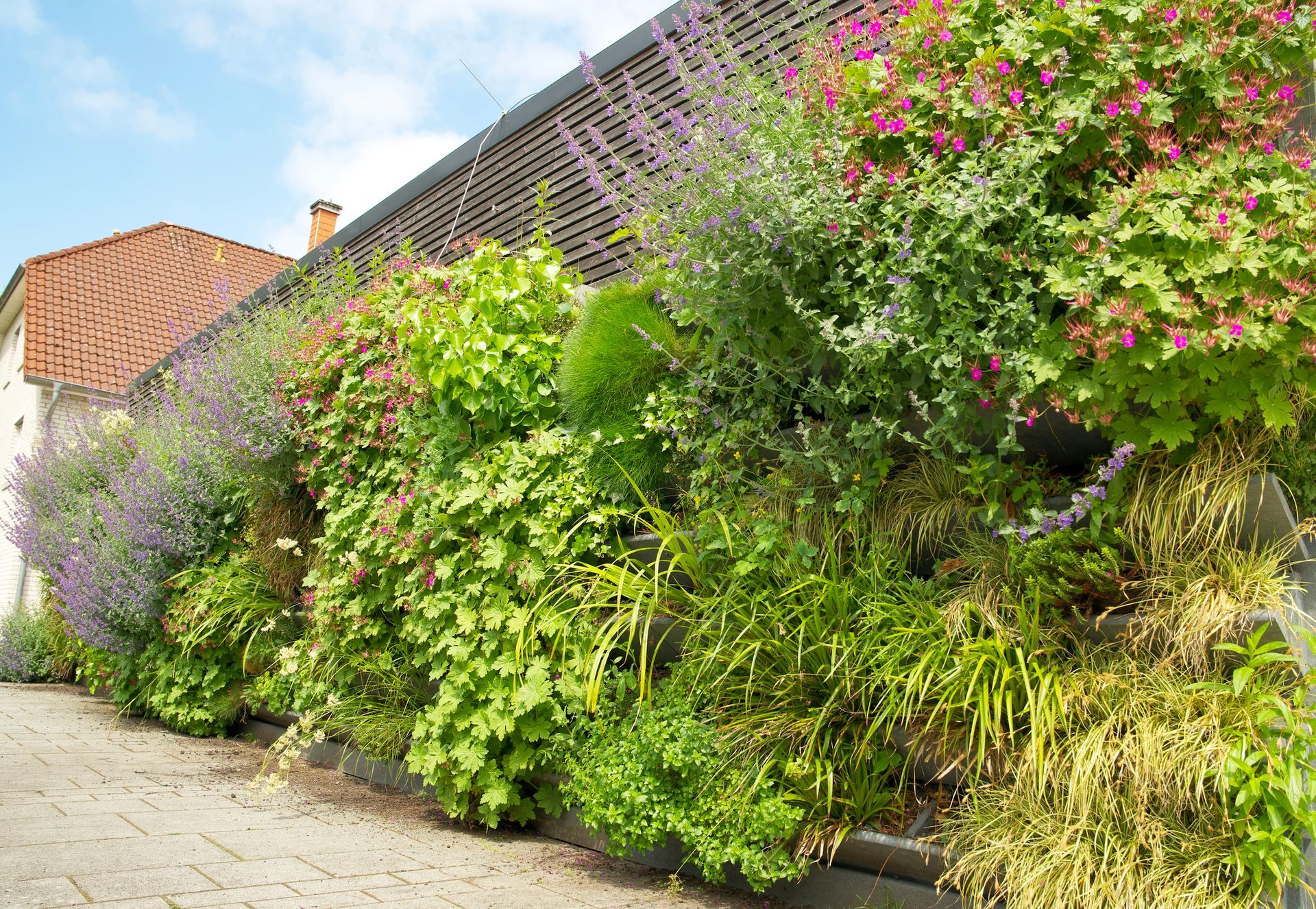 Exterior living wall garden with grasses, lavender and other prairie plants