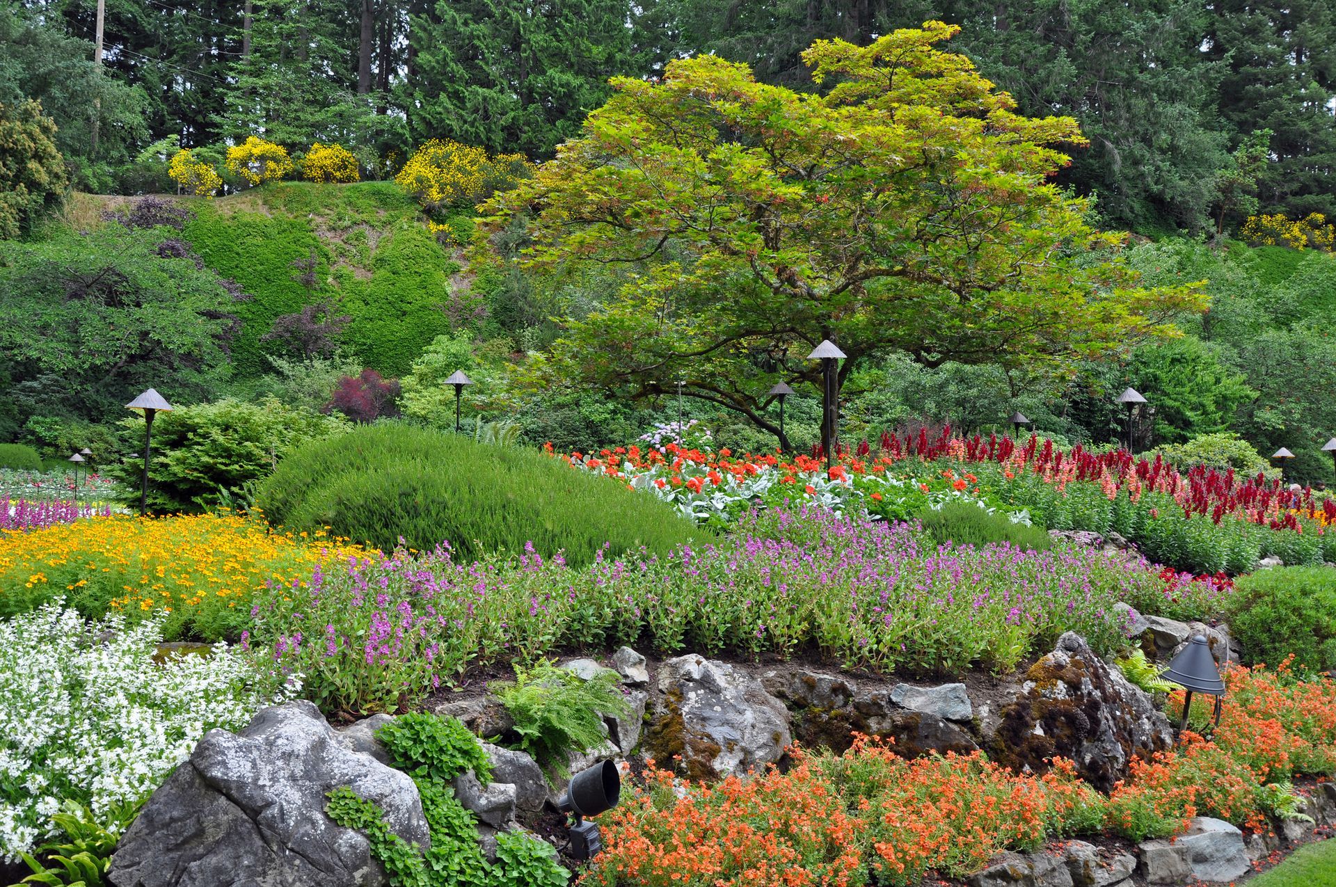 community garden with trees and flowers
