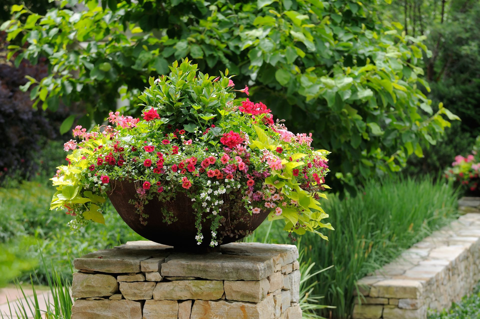 Brightly colored annual flowers in planters