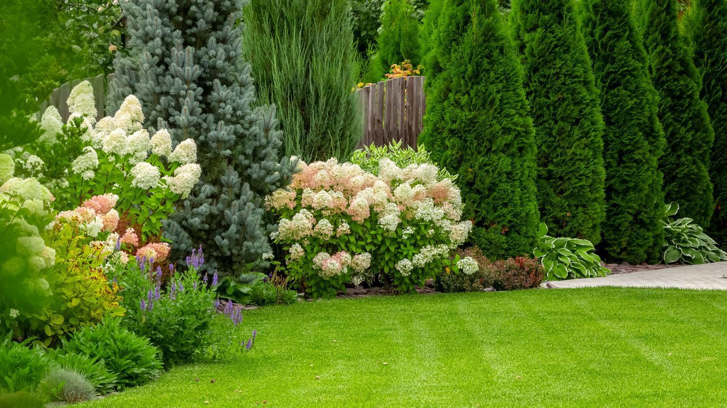 Walled yard with formal landscape design including trees, scrubs and hedges
