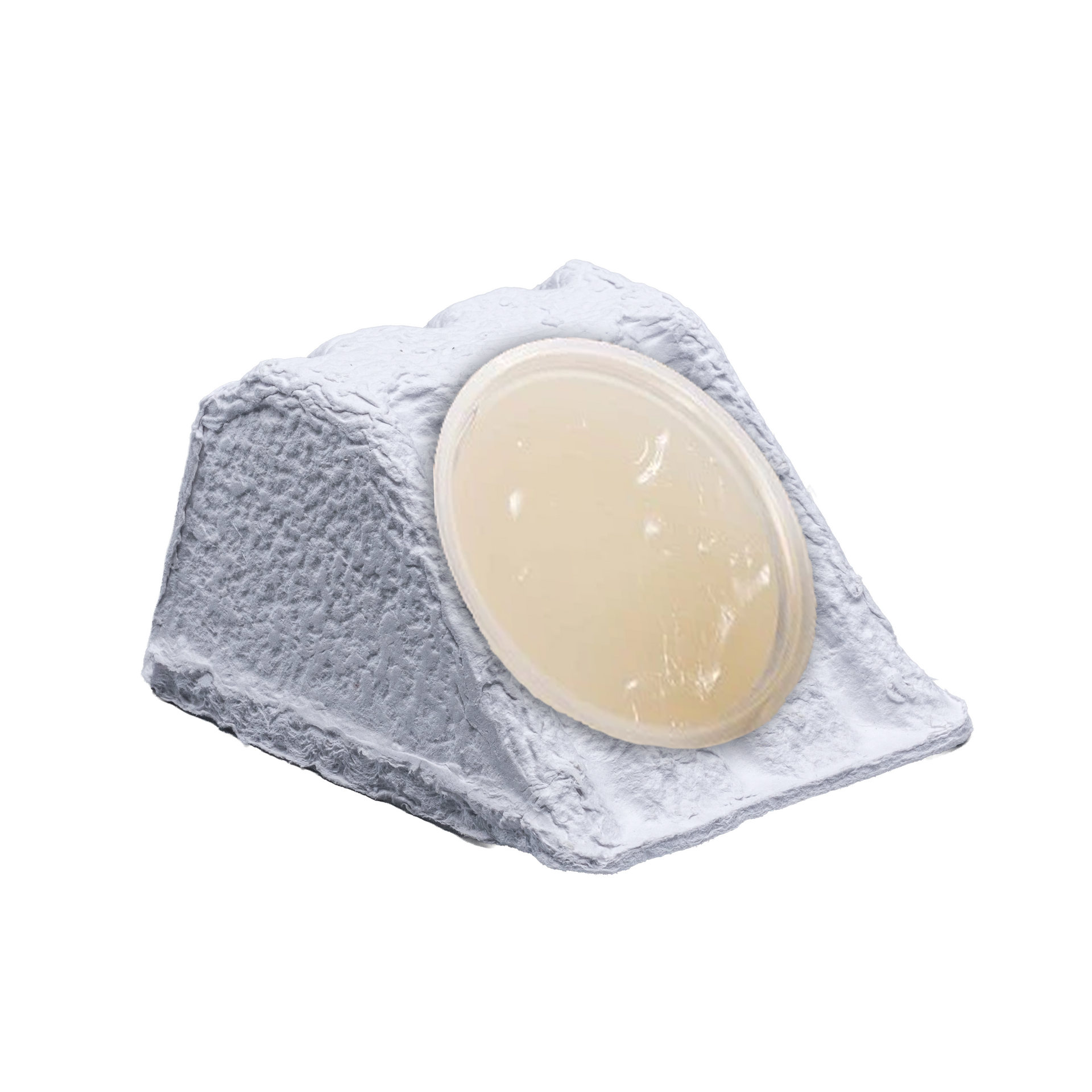 Mouse eating gel diet.