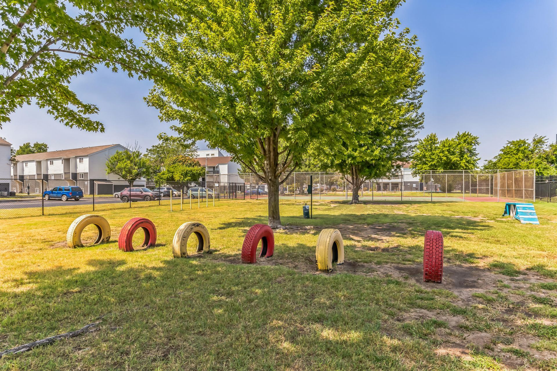 Dog park with colorful tires to jump through and a ramp, with buildings in the background.