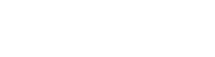 ZJ Travel Logo