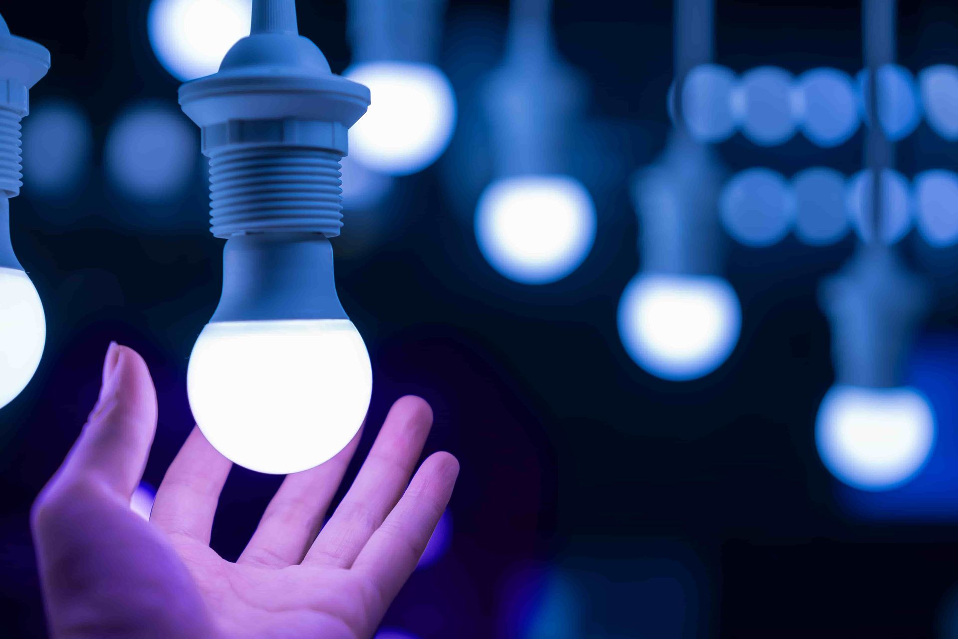Hand Holding a LED Light Bulb — Rob Fritsch Electrical in Wagga Wagga, NSW
