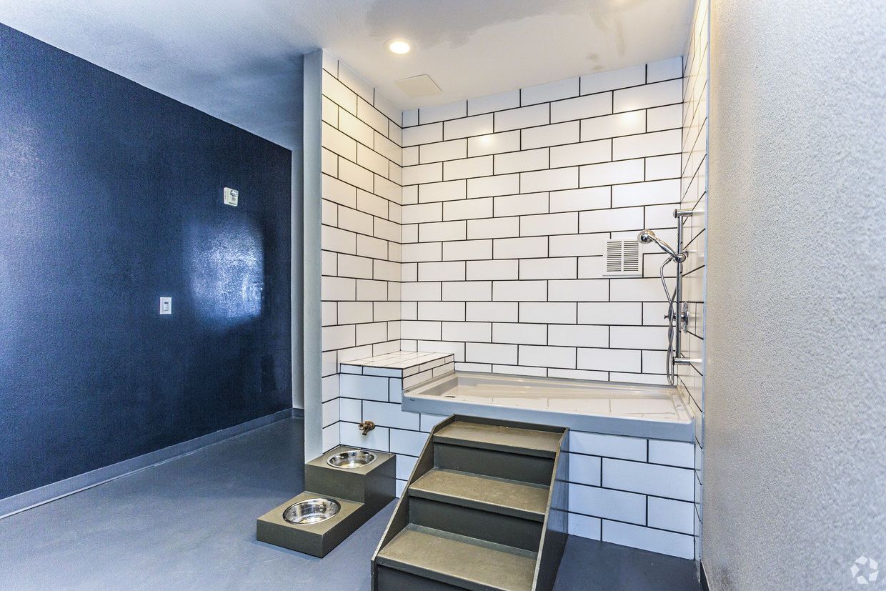 Dog wash station with white brick tiles, steps, and a shower.