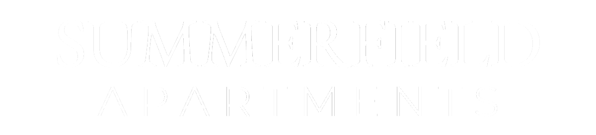 Logo with the text "Brave New World" in white.