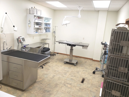 Surgical Suite Image  — Animal Hospital in Yankton, SD