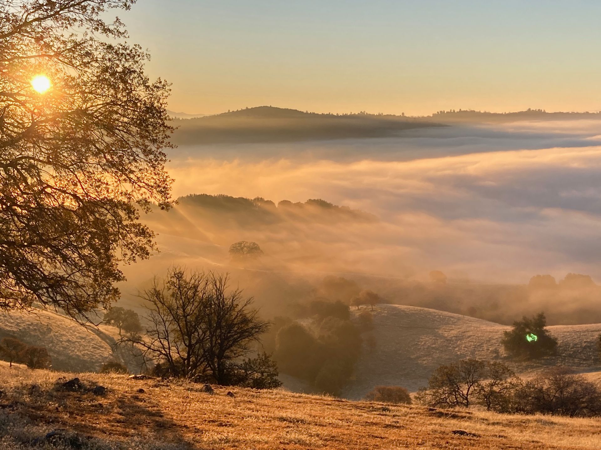 The sun is setting over a foggy valley with trees in the foreground