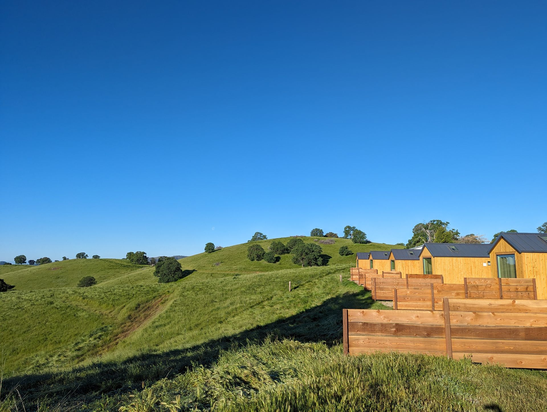 A row of houses are sitting on top of a grassy hill.