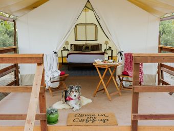 spacious tents and heated beds - Wildhaven Yosemite Glamping