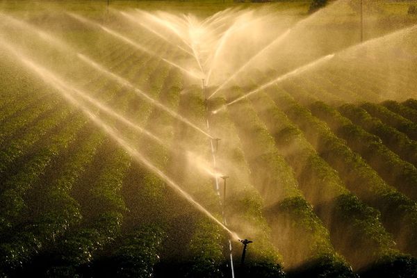 Huge Farm With Water Sprinklers — Port Charlotte, FL  — American Irrigation