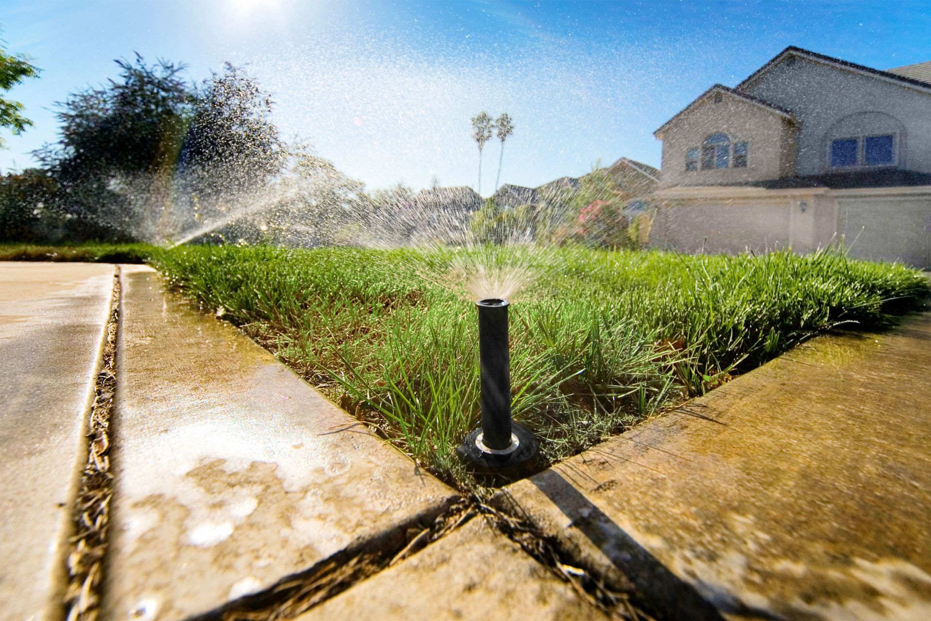 Residential Sprinkler — Port Charlotte, FL  — American Irrigation