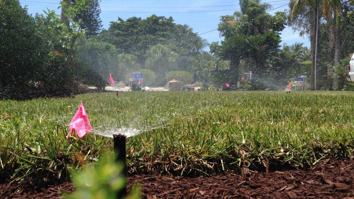 Grass Field With Water Sprinkler — Port Charlotte, FL  — American Irrigation