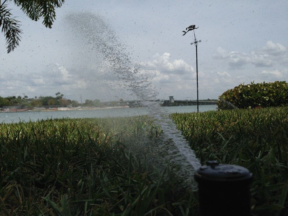 Sprinkler Spraying Water On Lawn — Port Charlotte, FL  — American Irrigation
