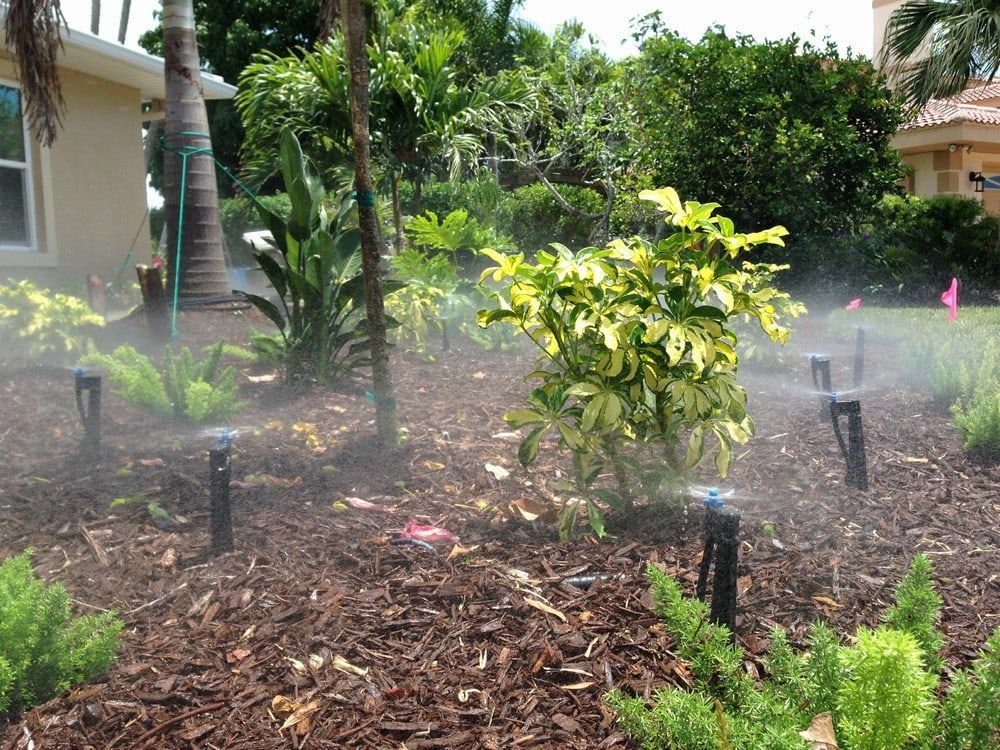 Working Water Sprinklers — Port Charlotte, FL  — American Irrigation