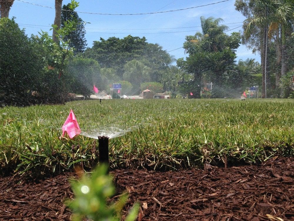 Close-Up Sprinkler — Port Charlotte, FL  — American Irrigation