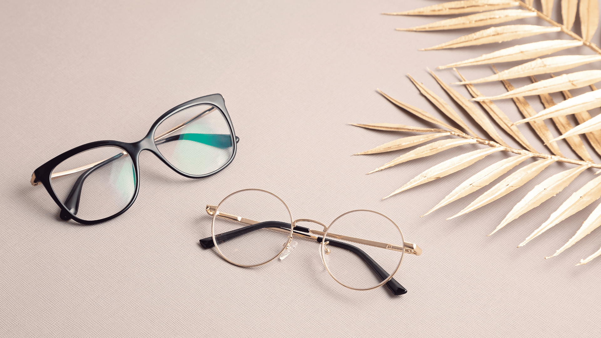 fall eyewear trends
