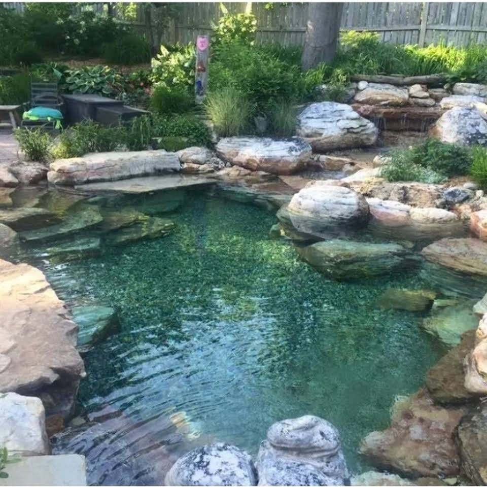Fish Pond Lake With Beautiful Plants - Buford, GA - ClearVision Natural Pools