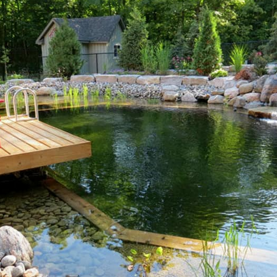Elegant Fish Pond With Plants - Buford, GA - ClearVision Natural Pools