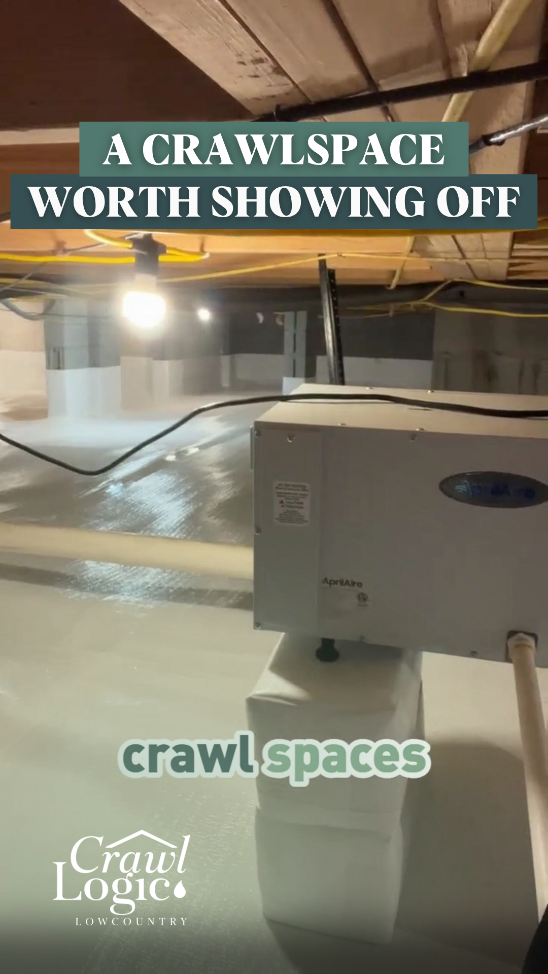 Well-lit crawlspace with a dehumidifier, showing a clean, dry environment.