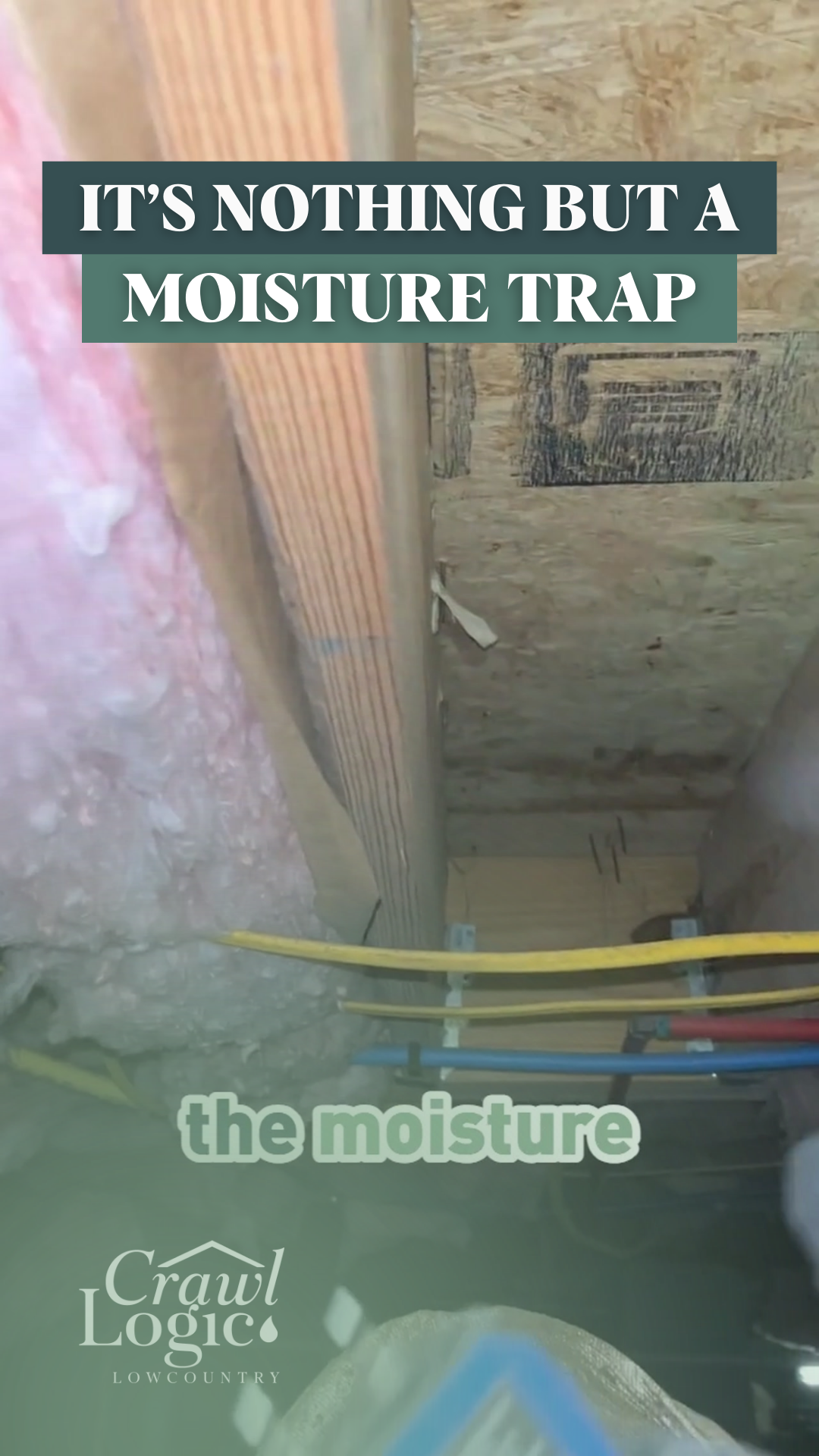 Crawlspace showing moisture-damaged insulation and beams; water pipes present. Text warns of a moisture trap.